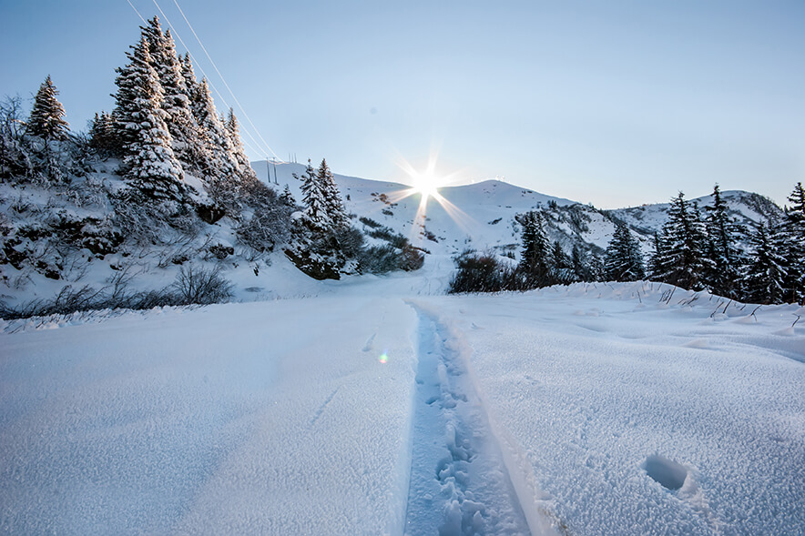 Skier Tracks