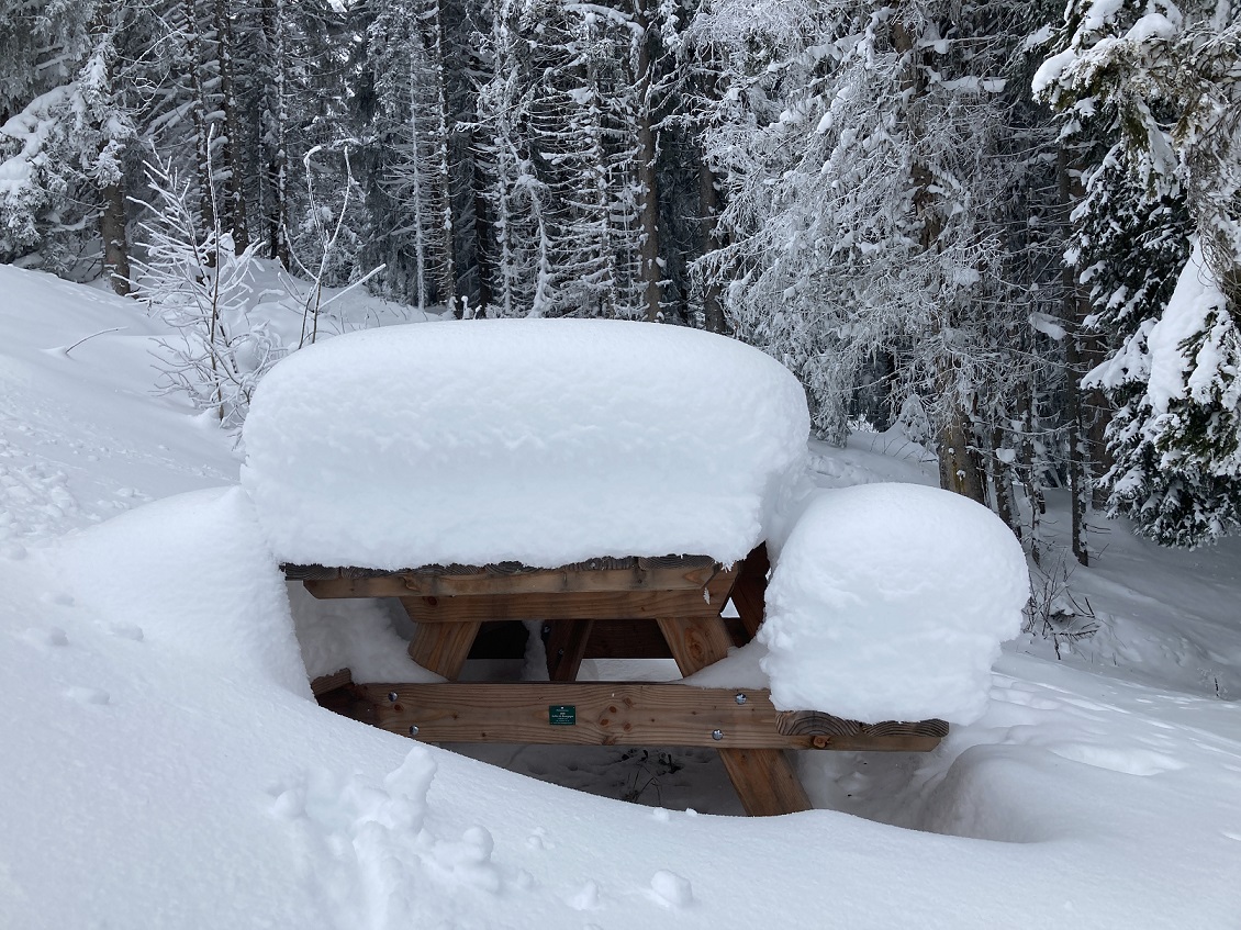 Samoens Restaurants (1)