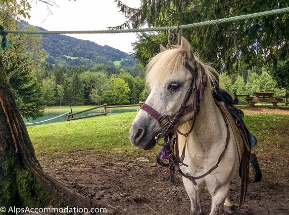 Lakeside Summer Fun In Samoens Pony Rides
