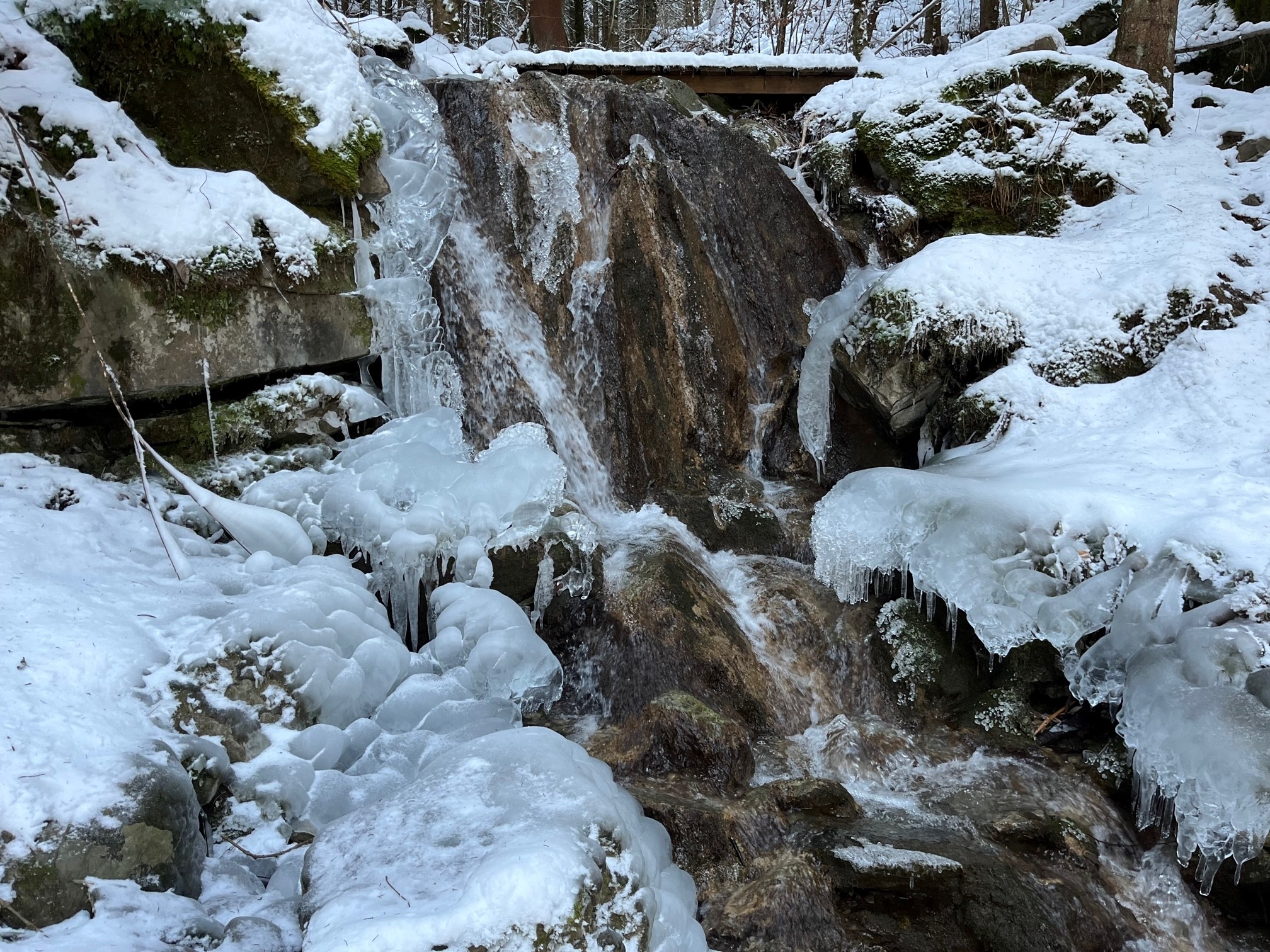 Winter Stream