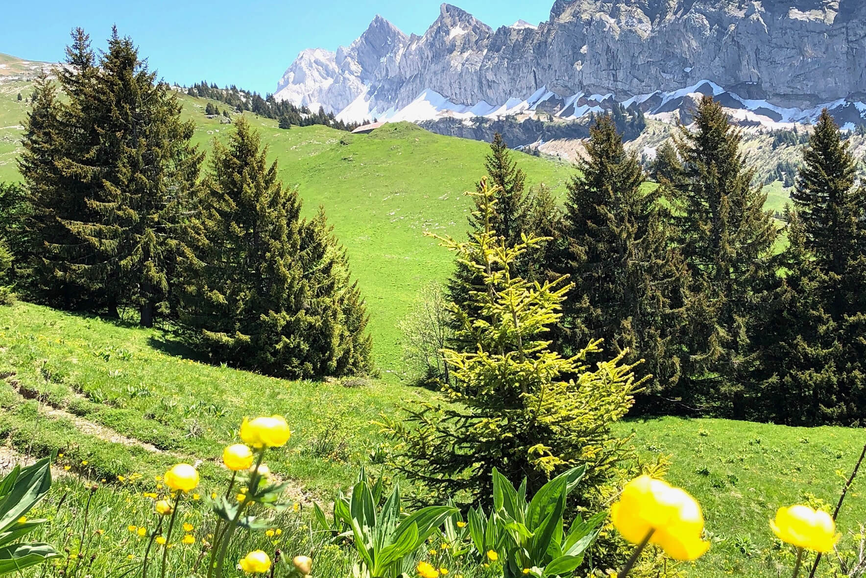 Spring In Samoens