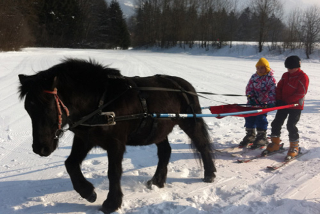 Children And Horse In Samoens