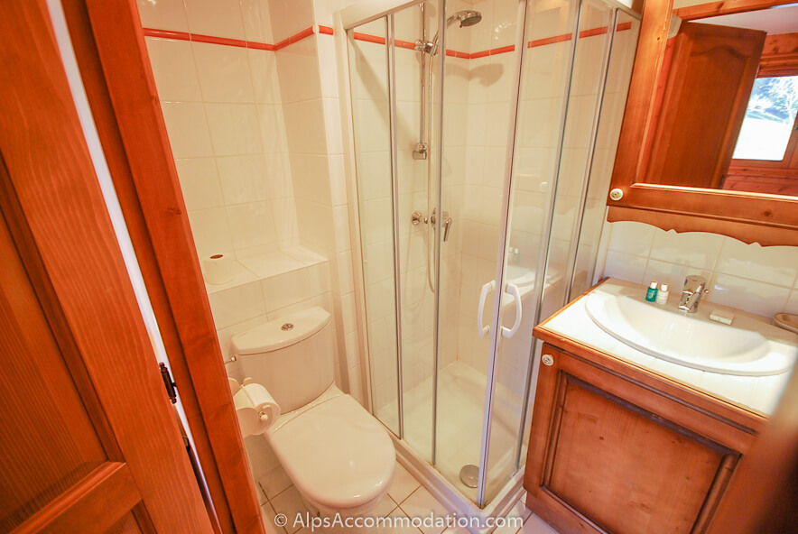 Chalet Alpage Morillon 1100 - Master bedroom ensuite bathroom with shower