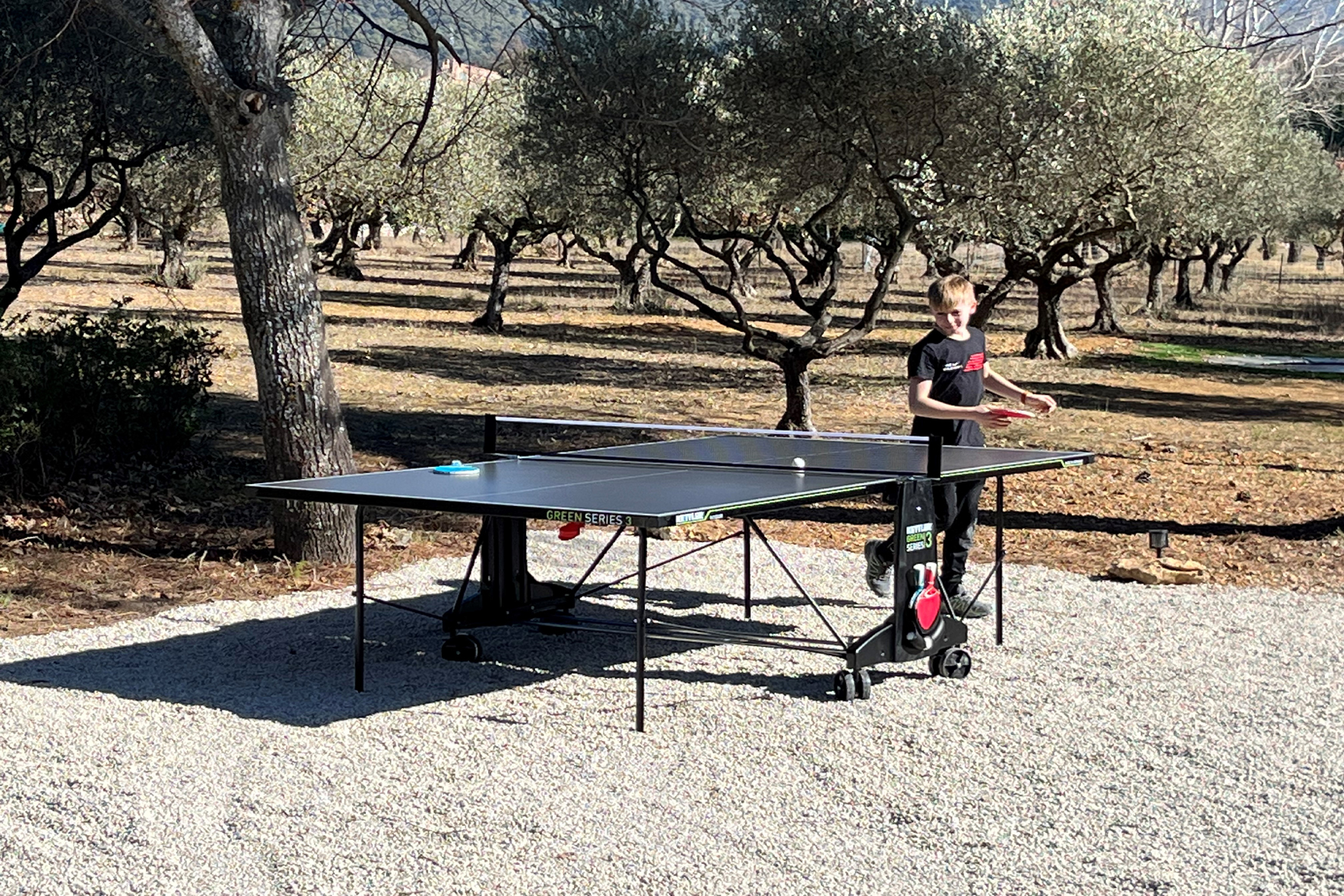 Le Mas Aups - Table Tennis in the olive grove