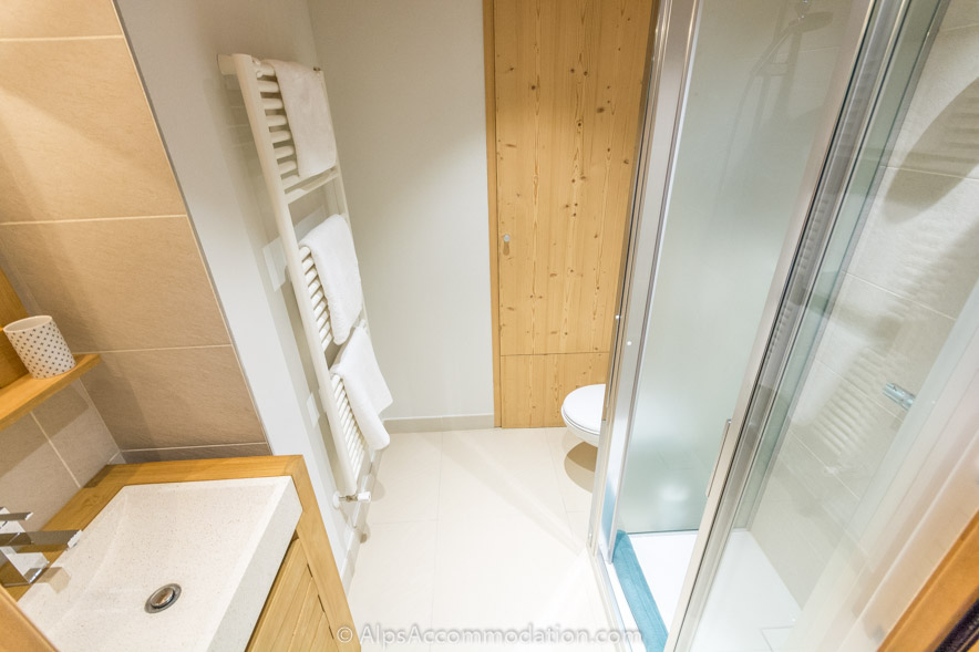 Apartment CH8 Morillon - Ensuite bathroom featuring large shower